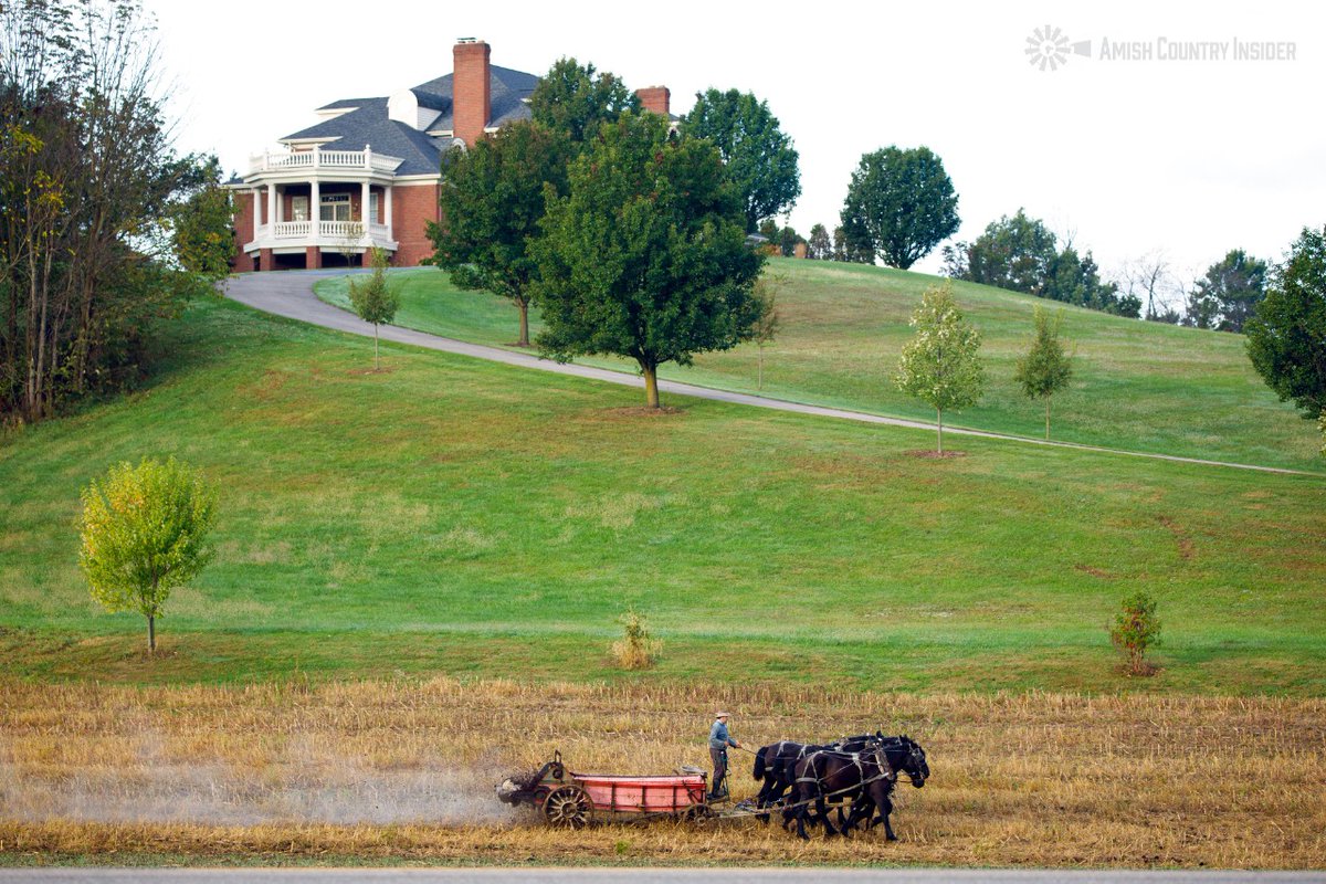 Spreading manure... 💩
#amishcountryinsider #amishcountry #amish