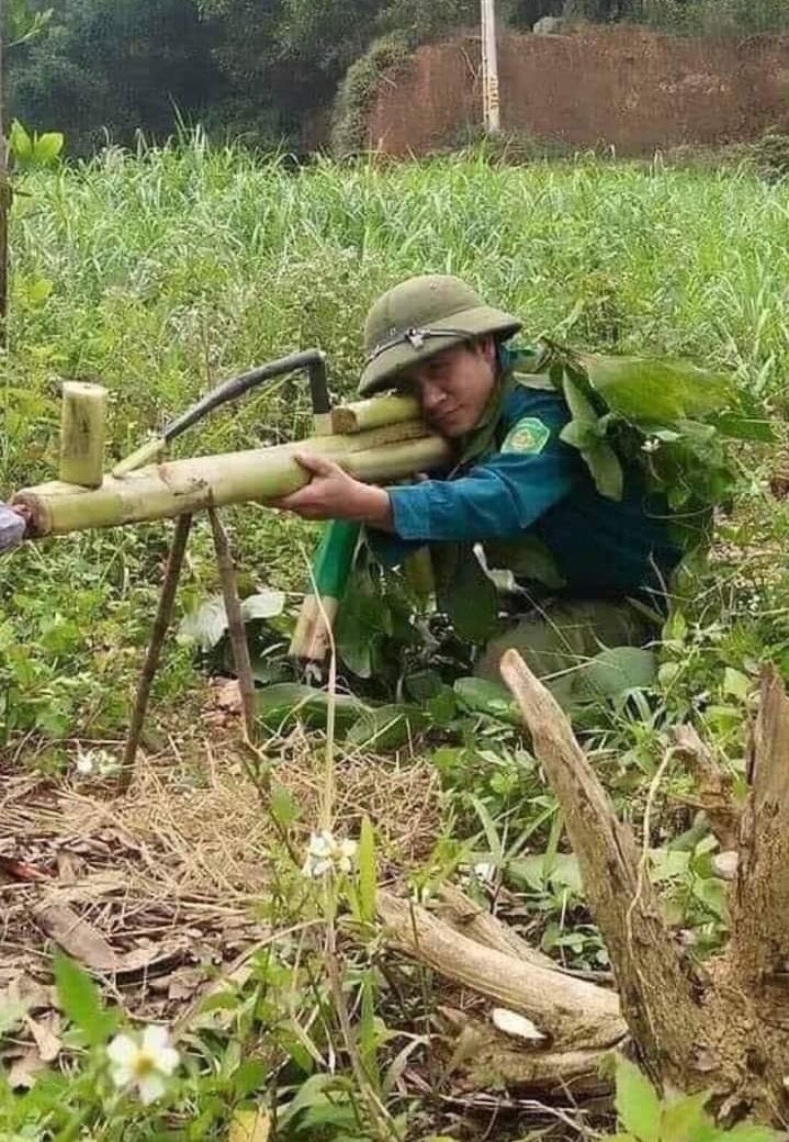 Dinh Bui Quoc tweet media