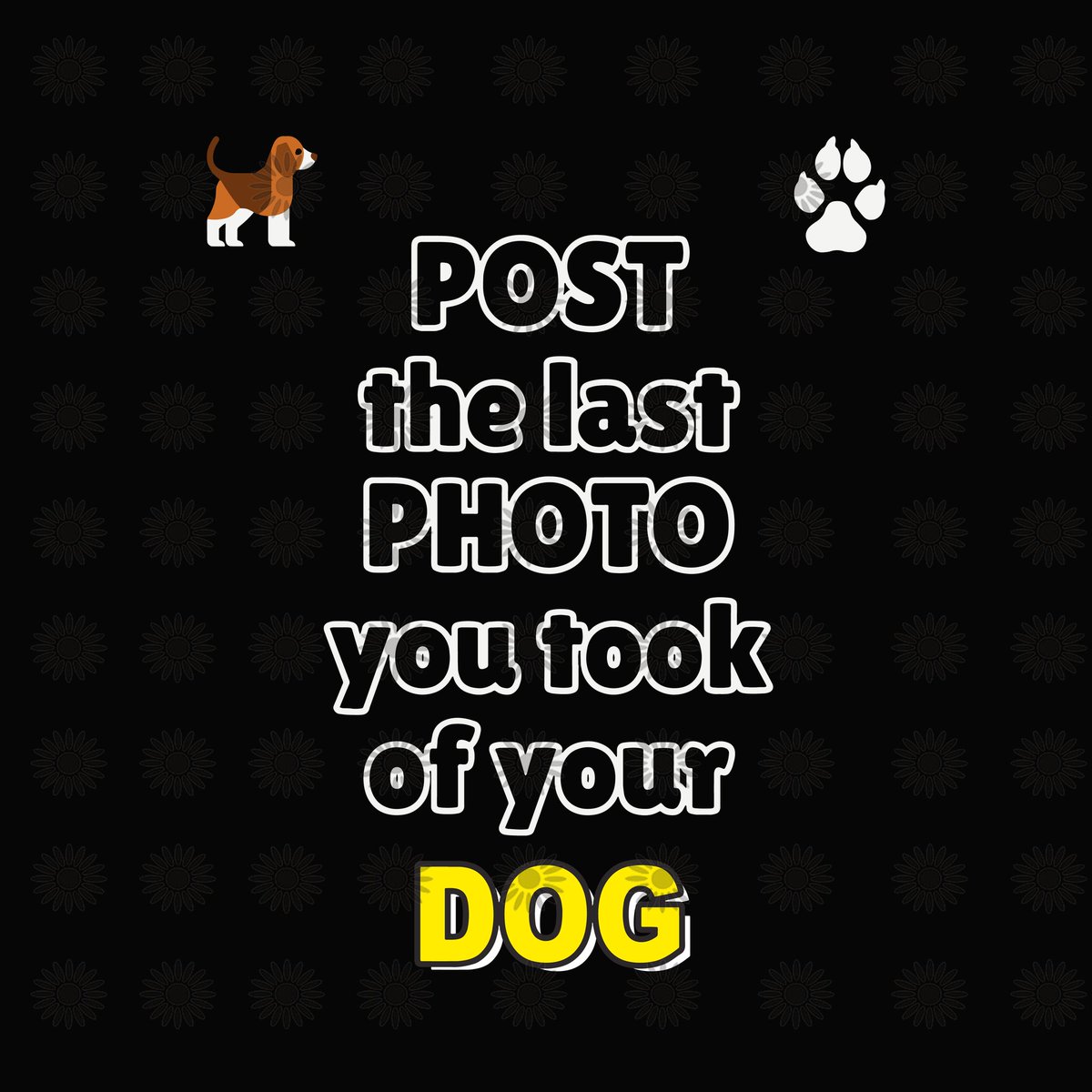 Post the last photo you took of your dog 🐕❤⬇️