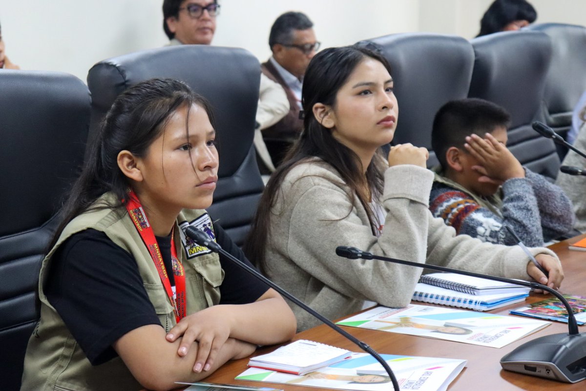 Comisión Especial de Protección a la Infancia 🇵🇪 tweet media