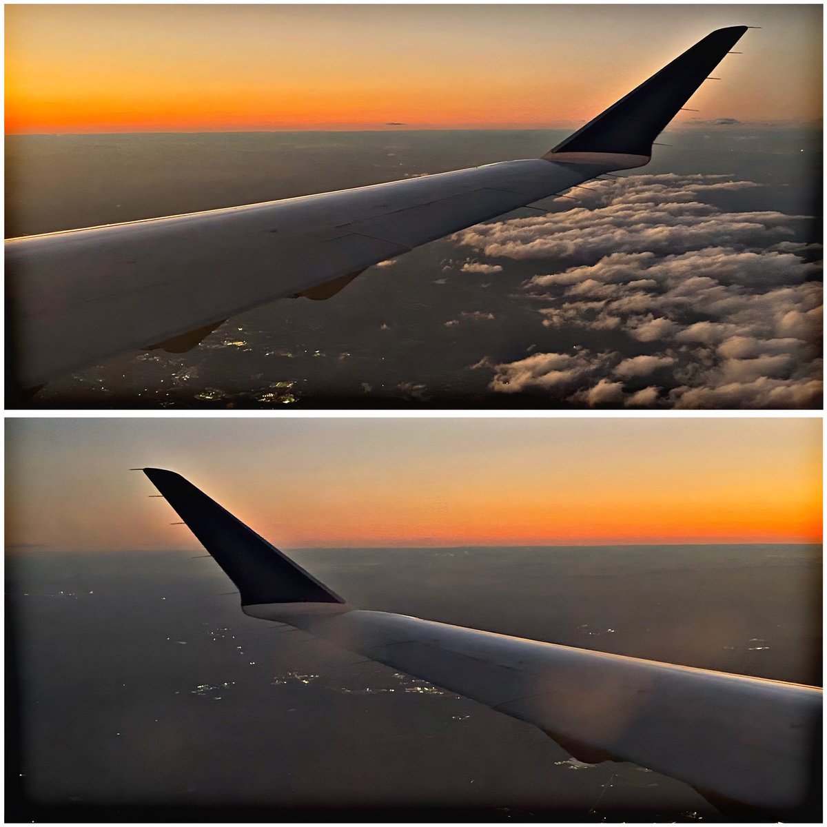 AmericanRiot tweet media