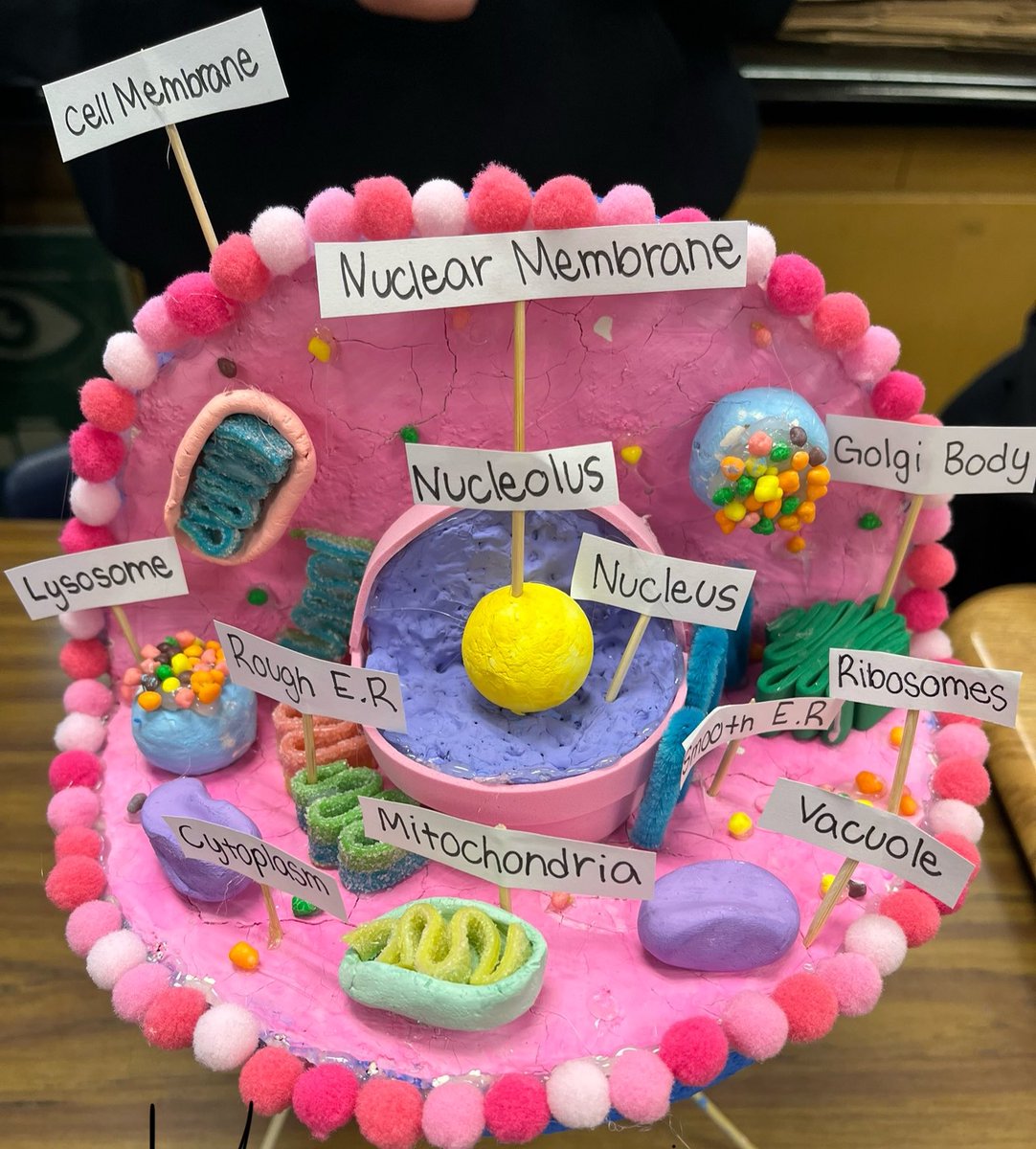 Mrs. Donovan's Gr. 7/8s tweet media