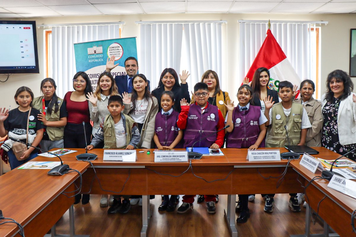 Comisión Especial de Protección a la Infancia 🇵🇪 tweet media