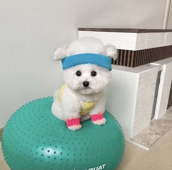 twaniimals's tweet photo. https://t.co/hopYuypWWI