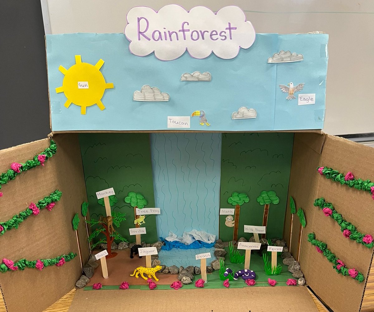 Mrs. Donovan's Gr. 7/8s tweet media