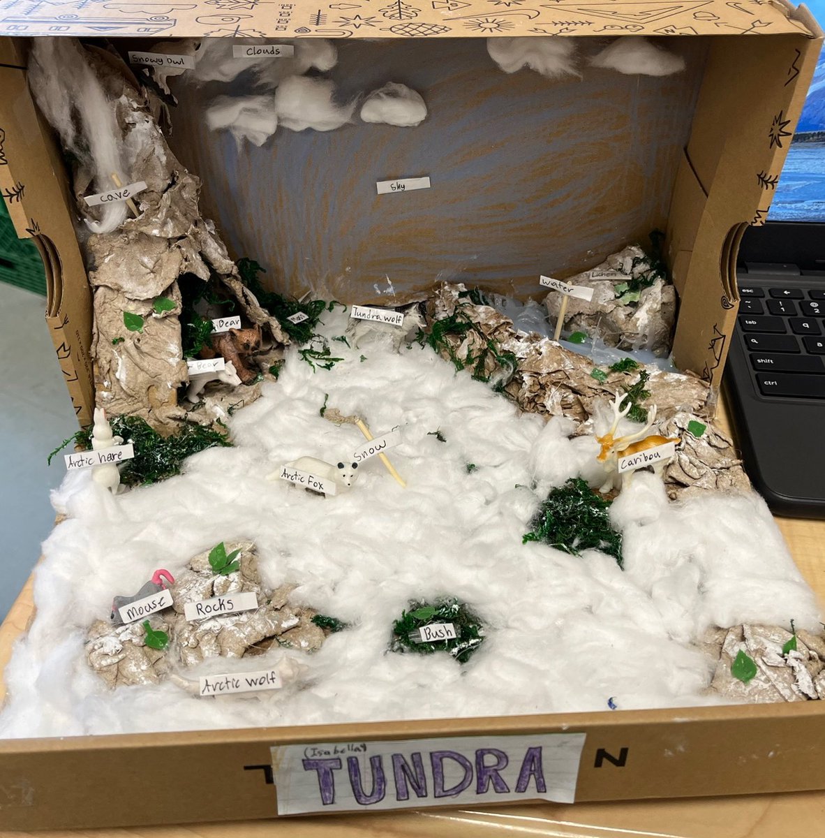 Mrs. Donovan's Gr. 7/8s tweet media