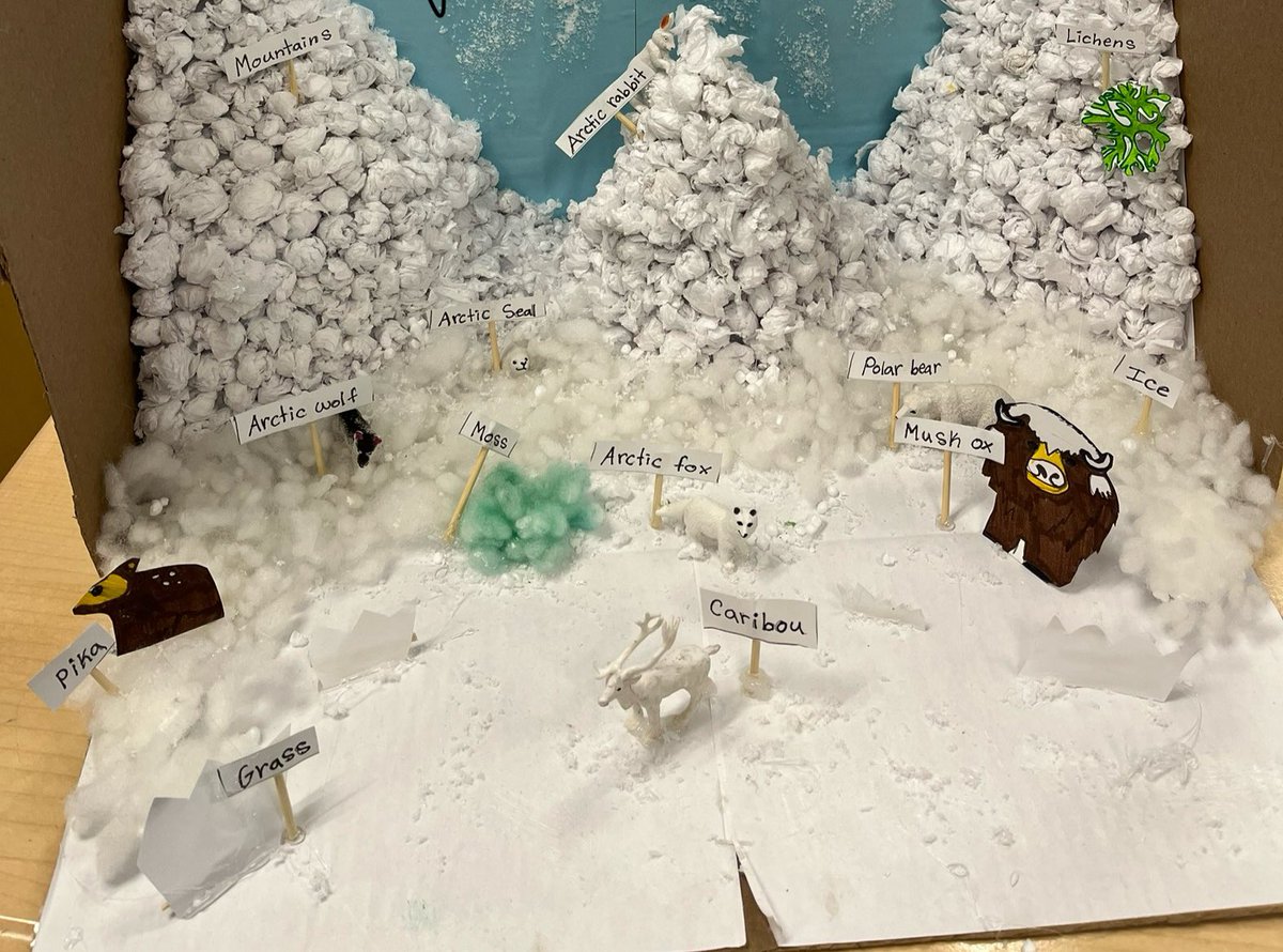 Mrs. Donovan's Gr. 7/8s tweet media