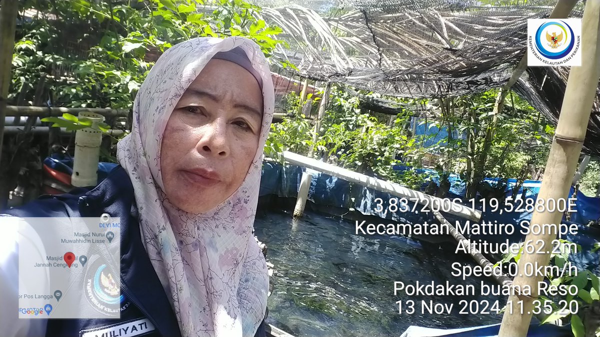 MLuhkan's tweet photo. Muliyati,Rabu(20/11/2024)Muliyati,Luhkan kab.pinrang,Baharuddin di Pokdakan Buana Reso,Desa Mattombong,panen selektif ikan lele,kolam terpal,sebanyak 25kg, harga jual Rp.17.500/kg
#GiatLuhkanSatminkalMaros
#Pinrang
#Panen
#Luhlapor
@bppsdm_kp 
@BRPBAP3_Maros https://t.co/m4S5mDSw7h