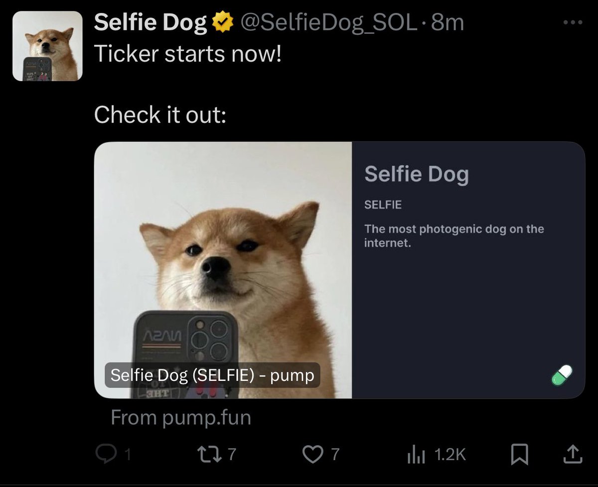 AaymanNft's tweet image. $SELFIE twitter is hacked. DO NOT ENGAGE