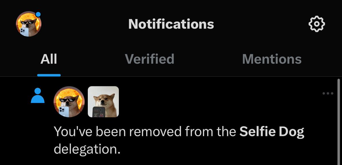 AaymanNft's tweet image. $SELFIE twitter is hacked. DO NOT ENGAGE