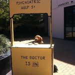 Photo by Dogs Space 🐶❤ (@thedogs_space)