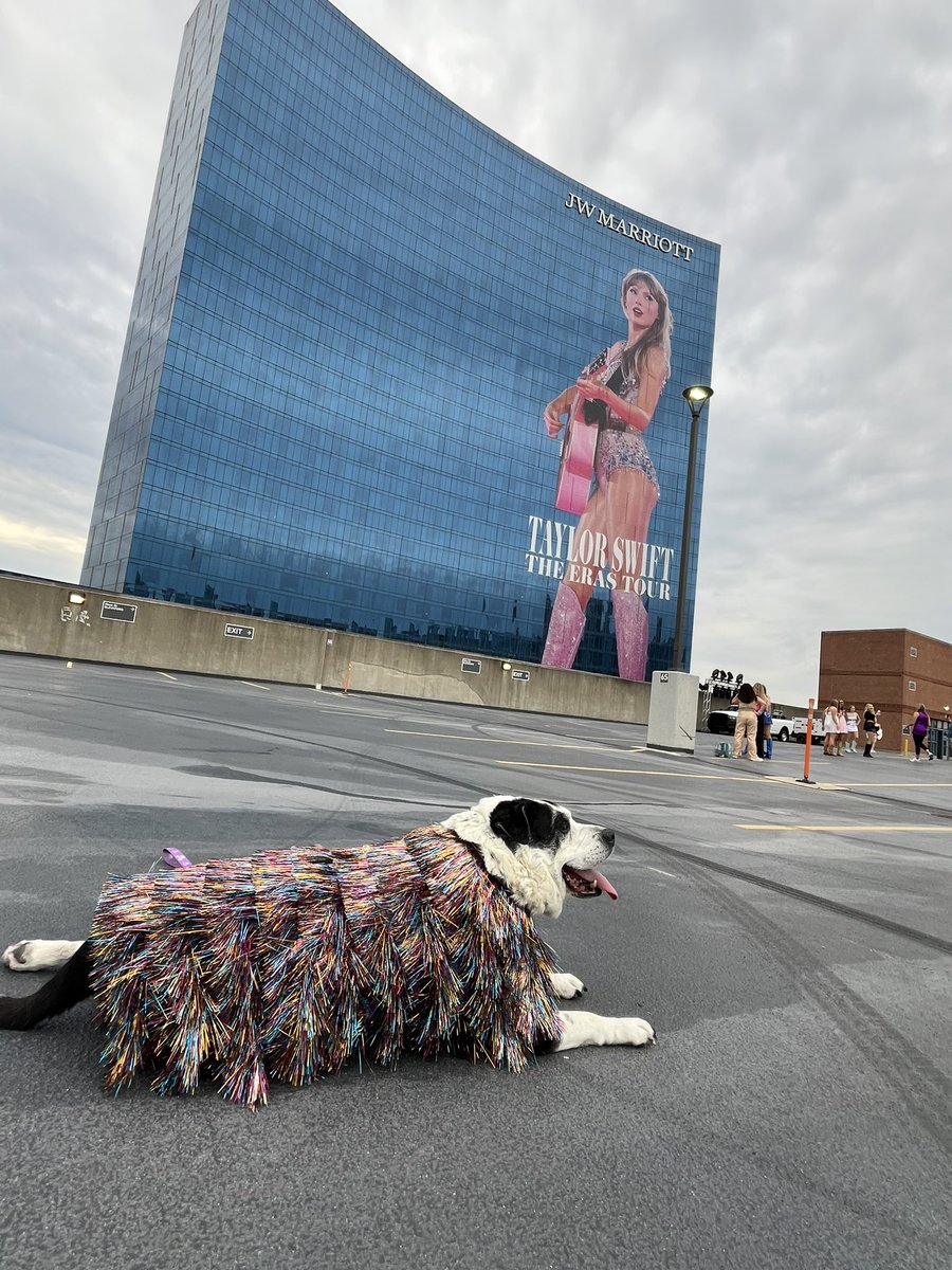 I might need to make Penny another Taylor Swift jacket for everyday, so we can match…