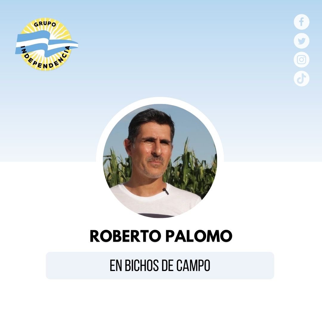 Nota en el enlace 🔗 bichosdecampo.com/un-productor-t…