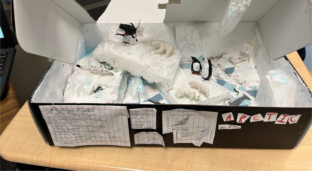 Mrs. Donovan's Gr. 7/8s tweet media