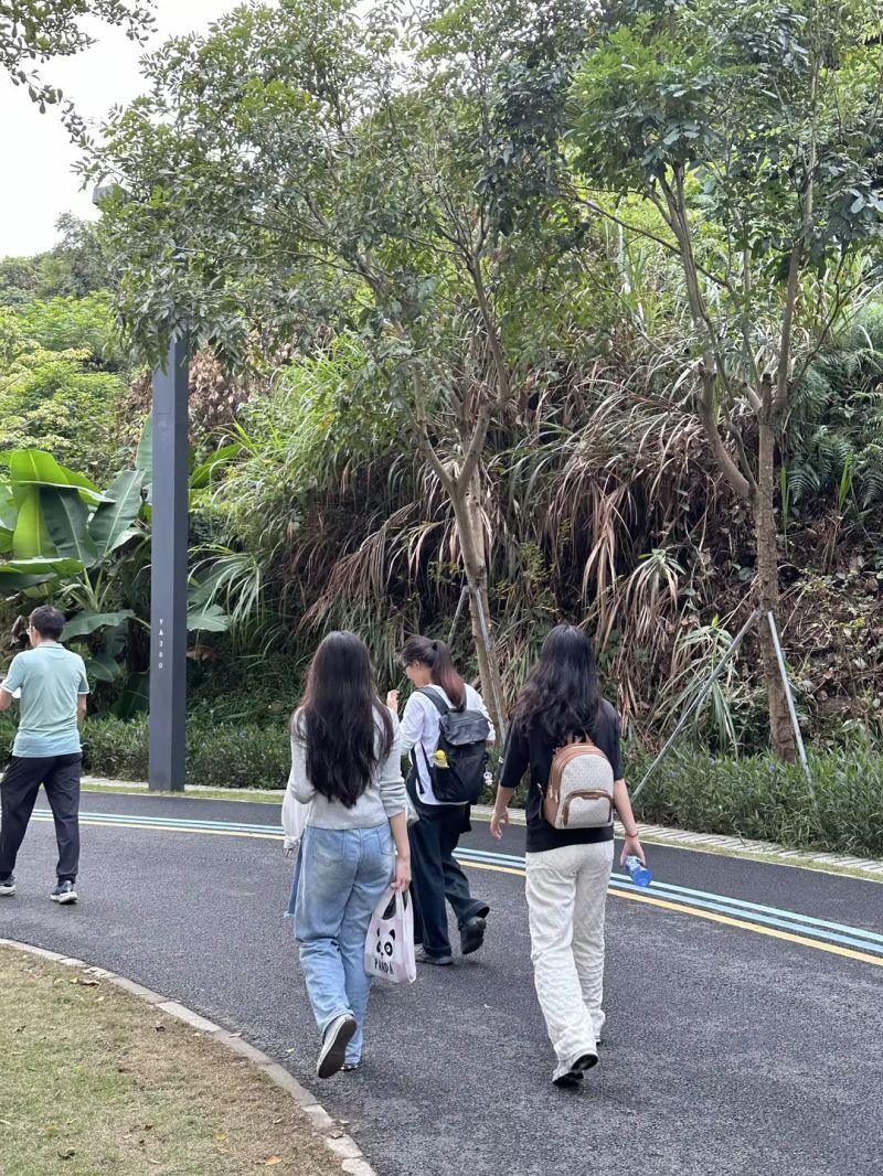 CODACA1's tweet photo. 🌿Reconnect with Nature!🥾

As hiking lovers, the Codaca team is immersed in this exciting adventure. This is a perfect opportunity to get active, explore beautiful landscapes, and build meaningful connections. 🤗 
#Hiking #OutdoorAdventure #Park #NatureExploration #Nature https://t.co/1usAAeVEes