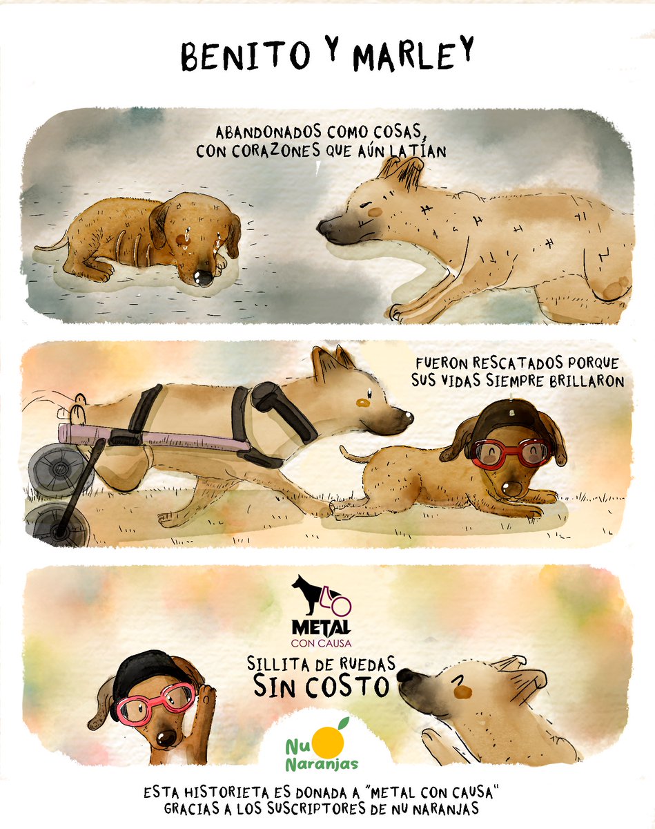 NuNaranjas's tweet photo. 💎 Gracias a nuestros suscriptores, cada mes apoyamos a albergues de animales con una fotohistoria gratuita 🐾✨. Este mes ayudamos a "Metal con causa". ¿Te gustaría ser parte de este impacto? 🧡 
Suscríbete aquí o en IG
https://t.co/TqRCe6ingK https://t.co/PddufKMS6E