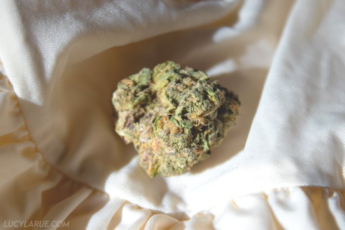 &ldquo;Pink Silky&rdquo; cannabis https://t.co/xVoYmRPJGS