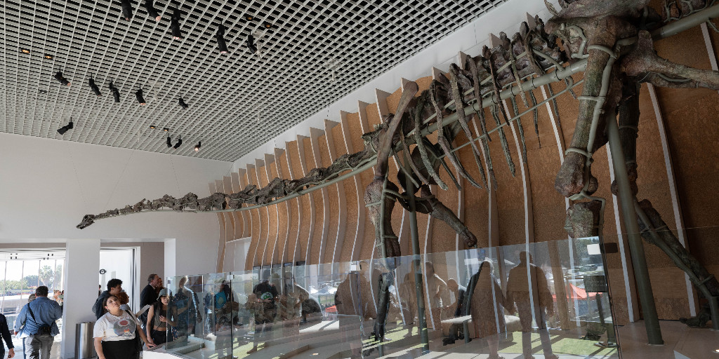UrbanizeLA's tweet photo. Here's a look inside the L.A. County Natural History Museum's $75M expansion

https://t.co/B40sQde9Br https://t.co/52PMwfHLjY