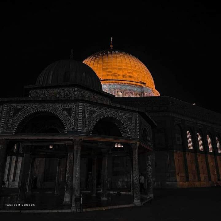 Y____asmine's tweet photo. #صورة_ملف_شخصي_جديدة https://t.co/Z8CbQnwDWg
