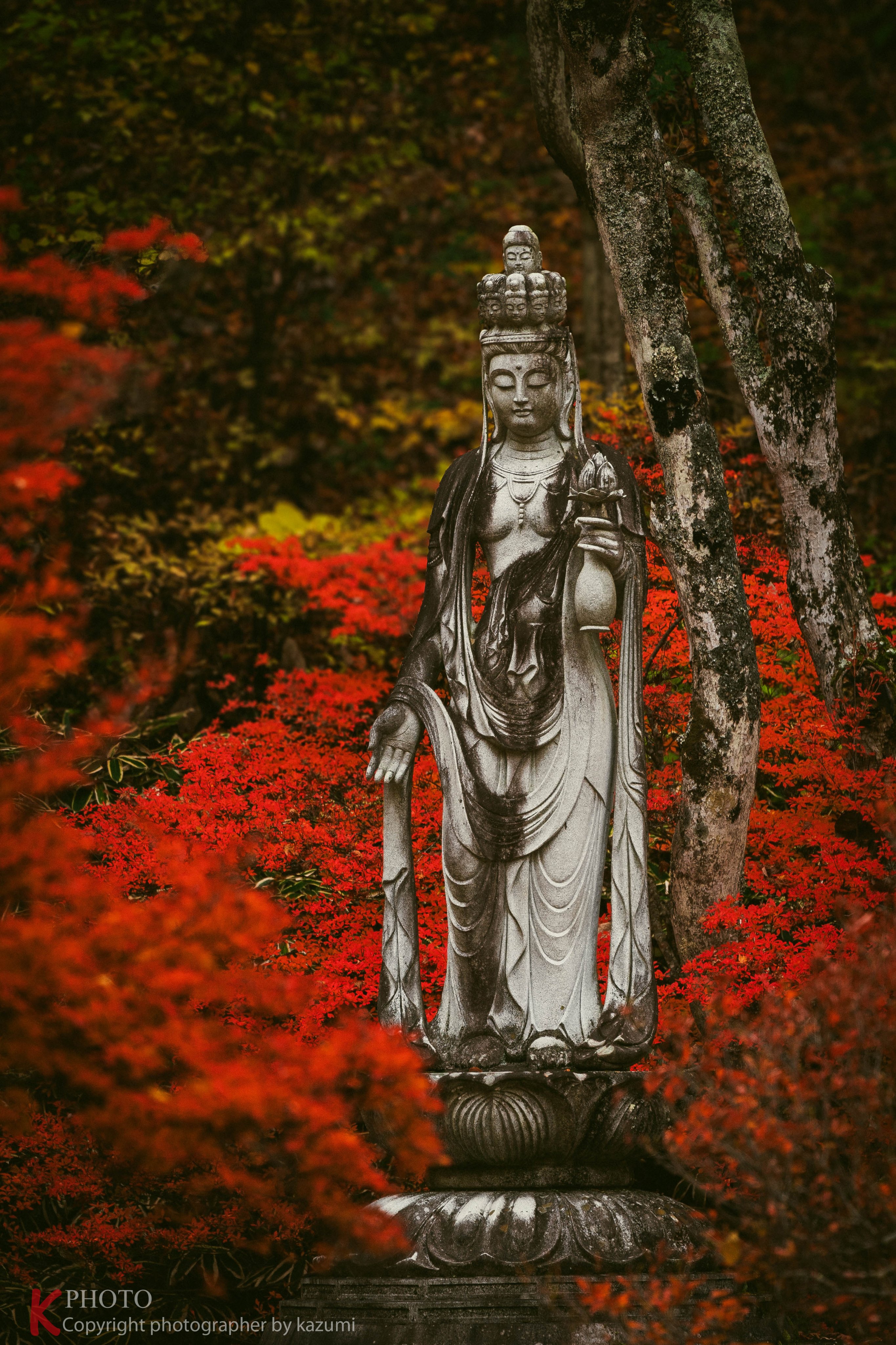 カズミページ ZカズミRS (@Z1kS8n) / Posts / X