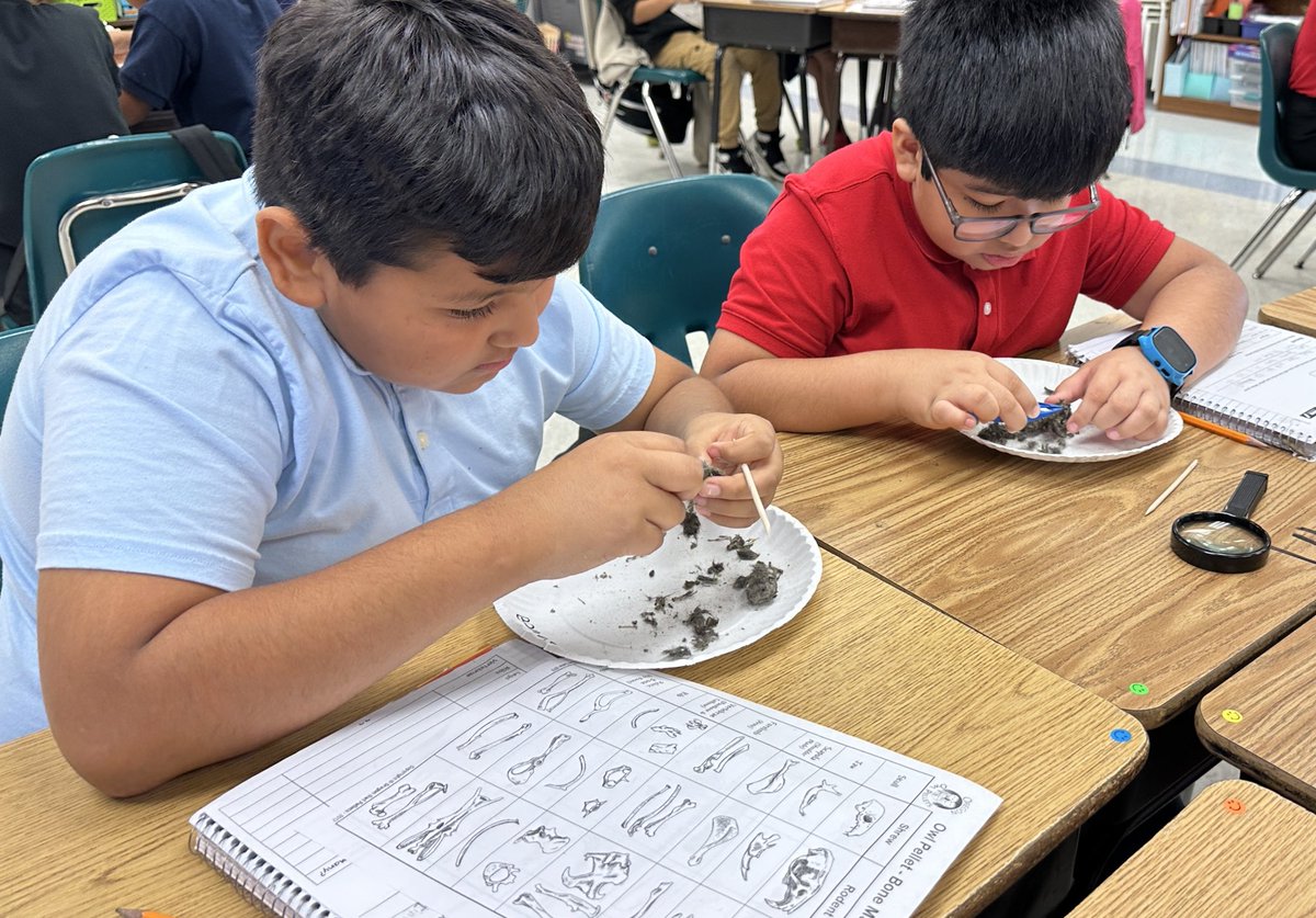 Ms. Fitz tweet media