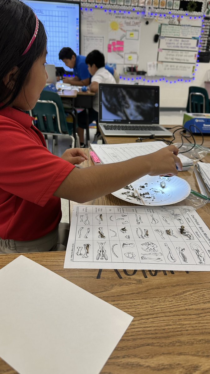 Ms. Fitz tweet media