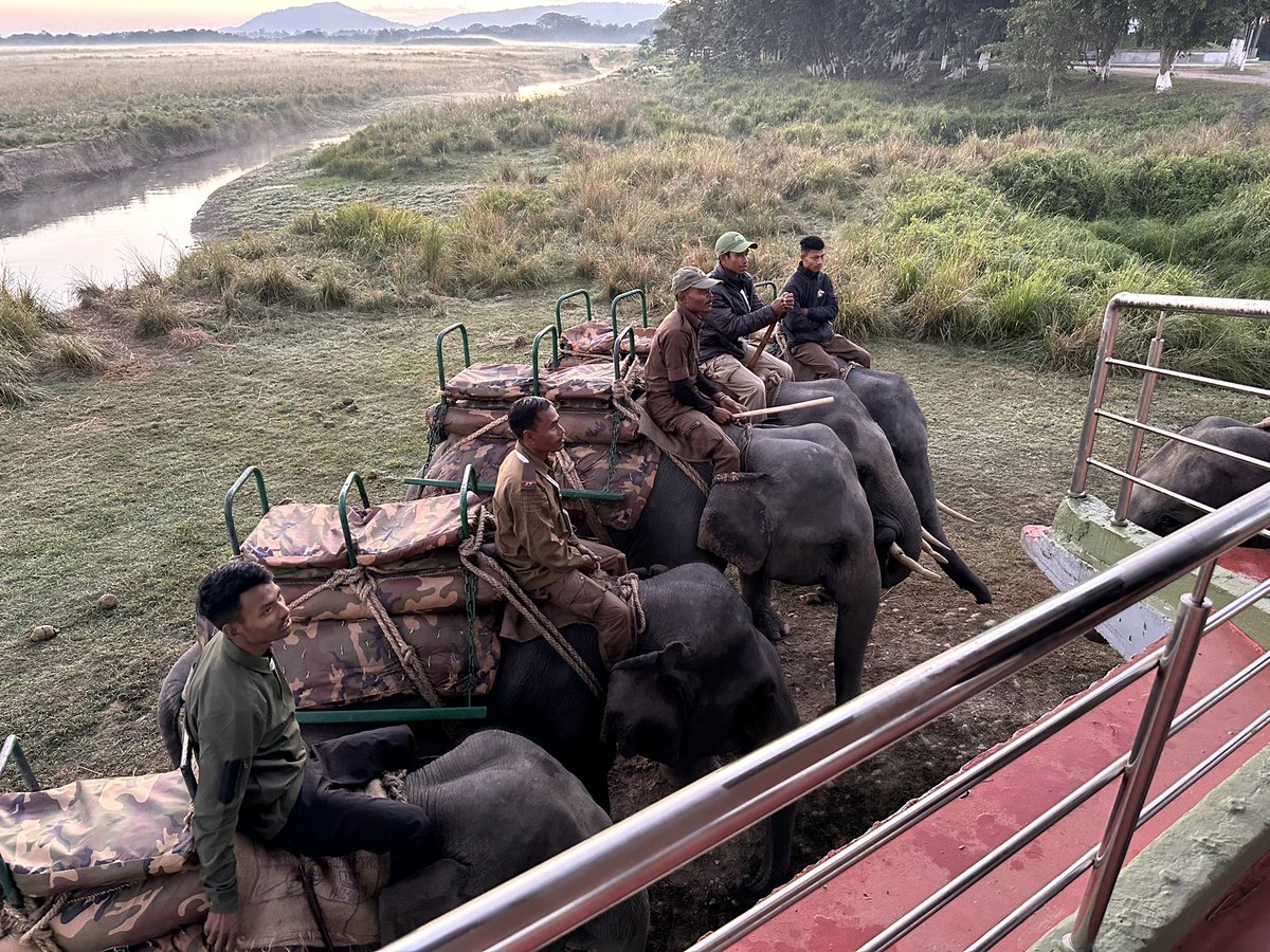 Jonah Goldberg tweet media