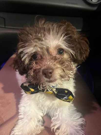 Callmeliquidity's tweet image. $Lazer on Solana 

is this gonna be the next coin???

CA:7a9fqgV1cZb8v4BJXhTFt9WsNHzTMJbb8dFePxbHpump

Looks interesting they’re live on pump.fun