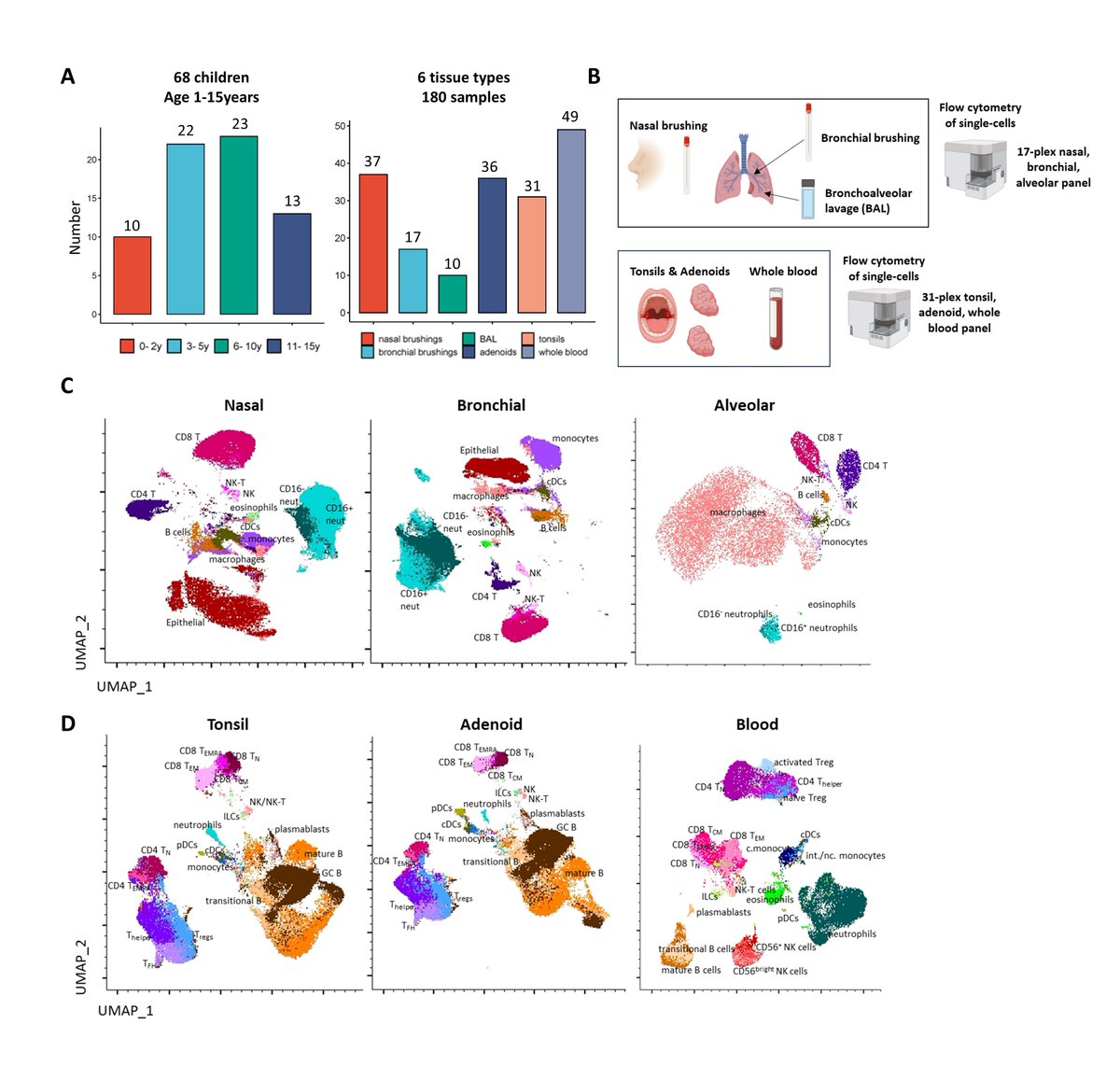 Melanie Neeland (@melanie_neeland) on Twitter photo Pleased to share that our #earlyAIR cross-tissue, age-specific, #flowcytometry reference of immune cells from five tissues of the pediatric #airway is now published in <a href="/jacionline/">Journal of Allergy and Clinical Immunology</a>.
jacionline.org/article/S0091-…
<a href="/cziscience/">CZI Science</a> <a href="/MCRI_for_kids/">Murdoch Children's Research Institute (MCRI)</a> <a href="/UniMelbMDHS/">UniMelb MDHS</a> <a href="/RCHMelbourne/">The Royal Children's Hospital, Melbourne</a> Pleased to share that our #earlyAIR cross-tissue, age-specific, #flowcytometry reference of immune cells from five tissues of the pediatric #airway is now published in <a href="/jacionline/">Journal of Allergy and Clinical Immunology</a>.
jacionline.org/article/S0091-…
<a href="/cziscience/">CZI Science</a> <a href="/MCRI_for_kids/">Murdoch Children's Research Institute (MCRI)</a> <a href="/UniMelbMDHS/">UniMelb MDHS</a> <a href="/RCHMelbourne/">The Royal Children's Hospital, Melbourne</a>