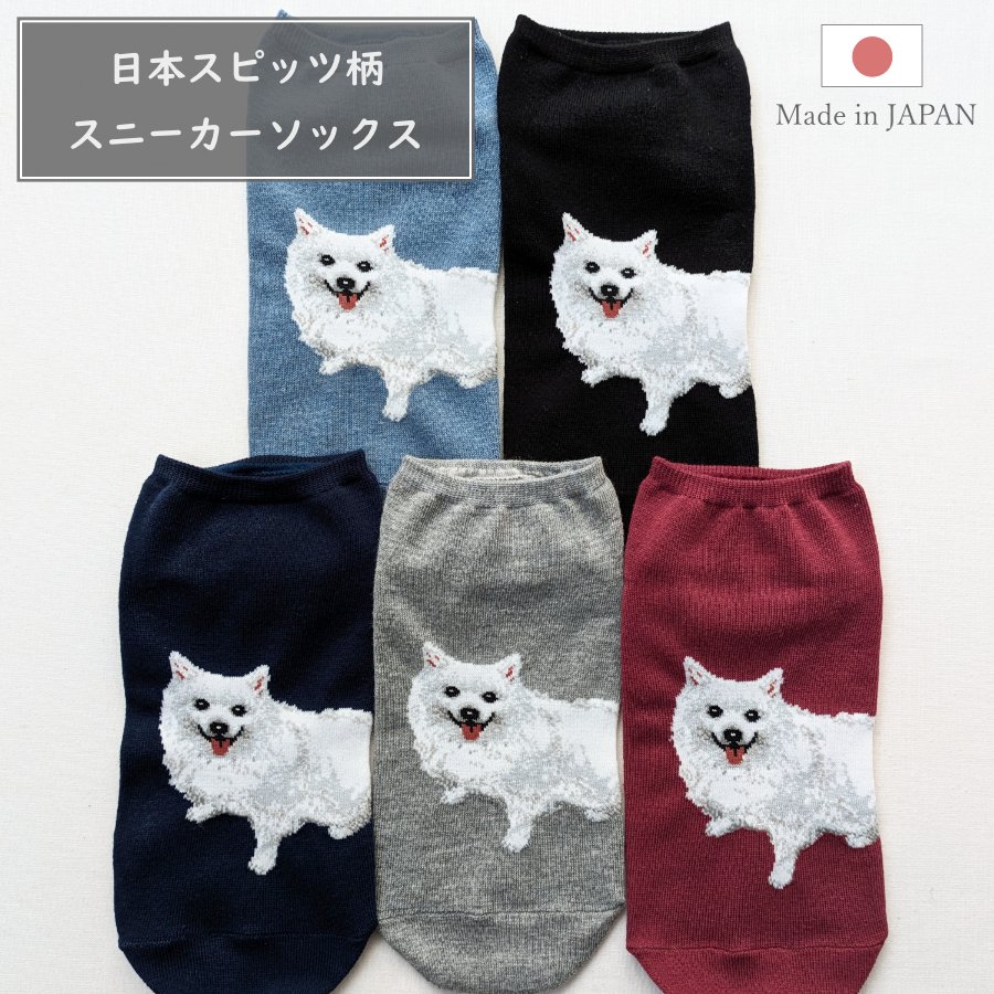 Legacess_JP's tweet photo. 日本スピッツの靴下が楽天市場にて予約販売スタートしました！※数量限定
https://t.co/5bjE7w3Zmz

#スピッツ #日本スピッツ #靴下 #グッズ https://t.co/76wzkg8BnZ