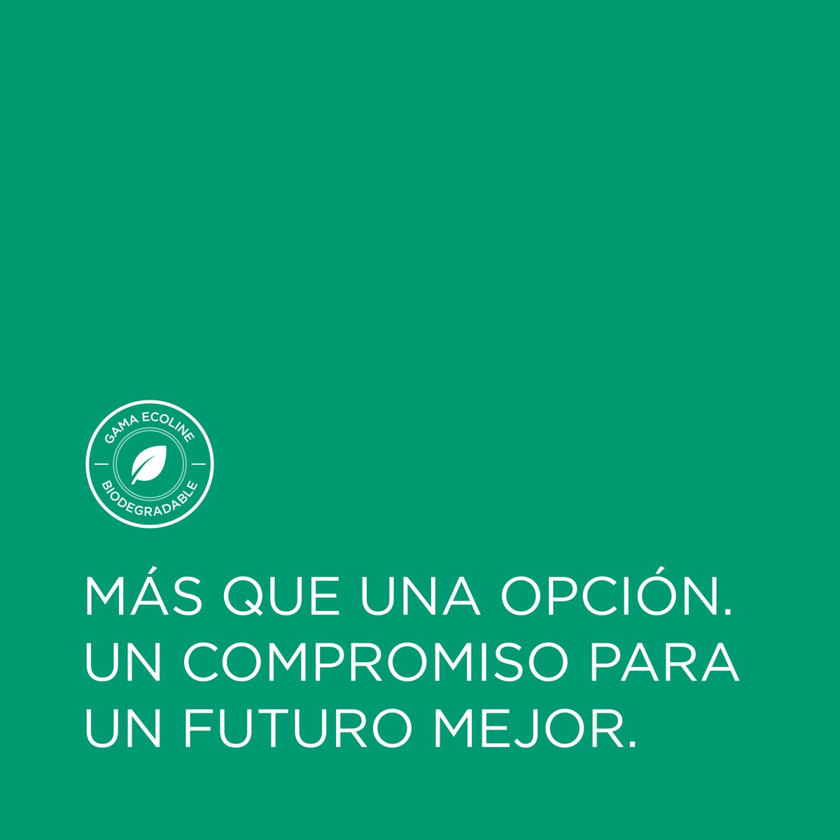 INTERFLEX_SL's tweet image. 🇪🇸 Nylofix Ecoline &quot; Más que una opción para un futuro mejor&quot;

#INTERFLEX #FuturoSostenible #CompromisoVerde #HaciaElFuturo #Sostenibilidad