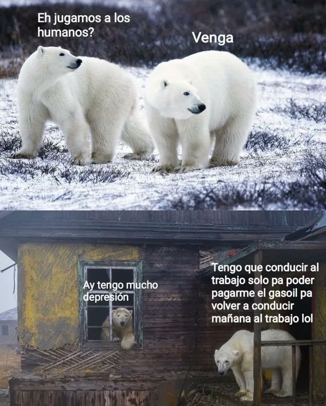 Ana_LaPatata (@ymuchosmemes) on Twitter photo 