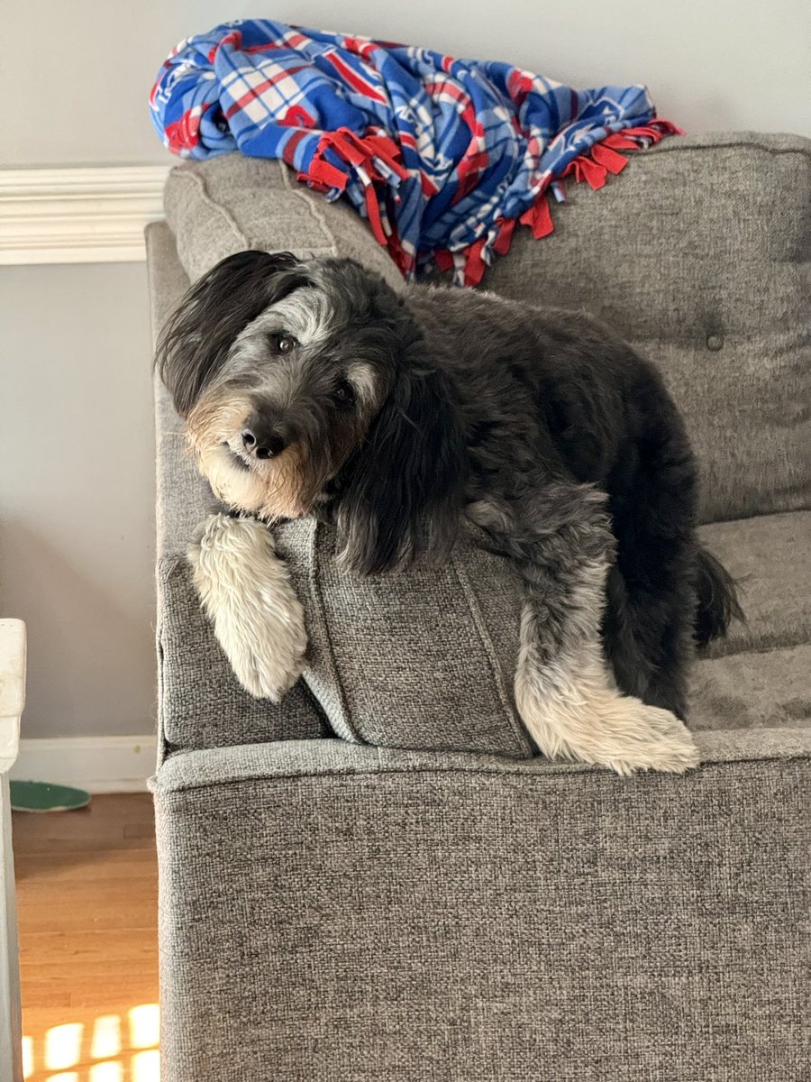 Mike Hodan tweet media