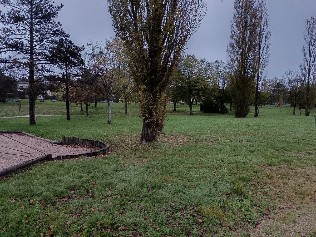 #quinzainedelecolematernelle #ageem81 accueil de la section du Tarn dans le sud du département pour réfléchir autour des espaces à mobiliser pour les séances de motricité. Comment utiliser son environnement proche pour offrir plus d'espace d'action aux enfants de maternelle ?