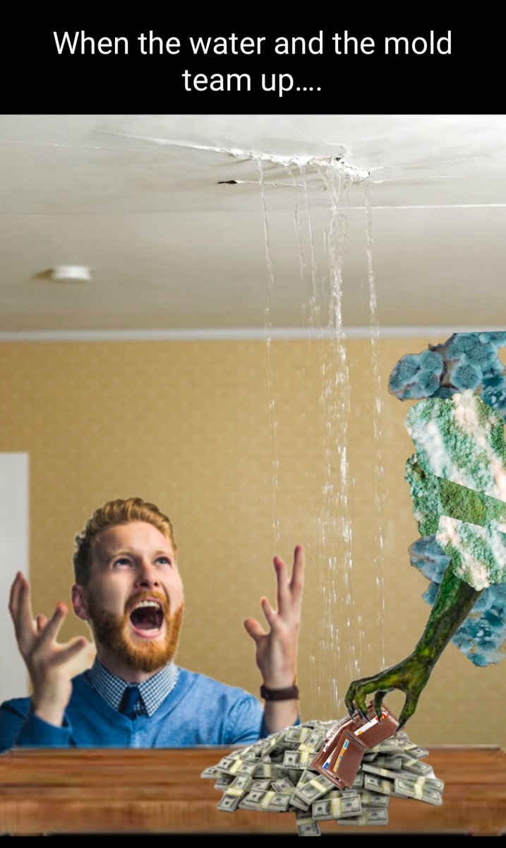 DriptechR's tweet image. DripTech Restoration: We’re here to drain your problems, not your wallet!