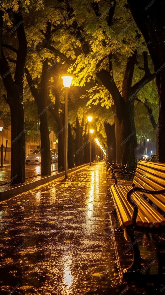 La rinascita:
"Nessuno può sapere, se non dopo una notte di patimenti, quanto dolce e prezioso al cuore e agli occhi possa essere il mattino."
Bram Stoker
#LeNottiDifficili
#SalaLettura