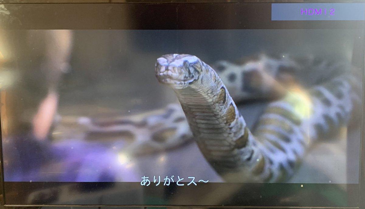 ハリーポッターのヘビ語の字幕おもろ