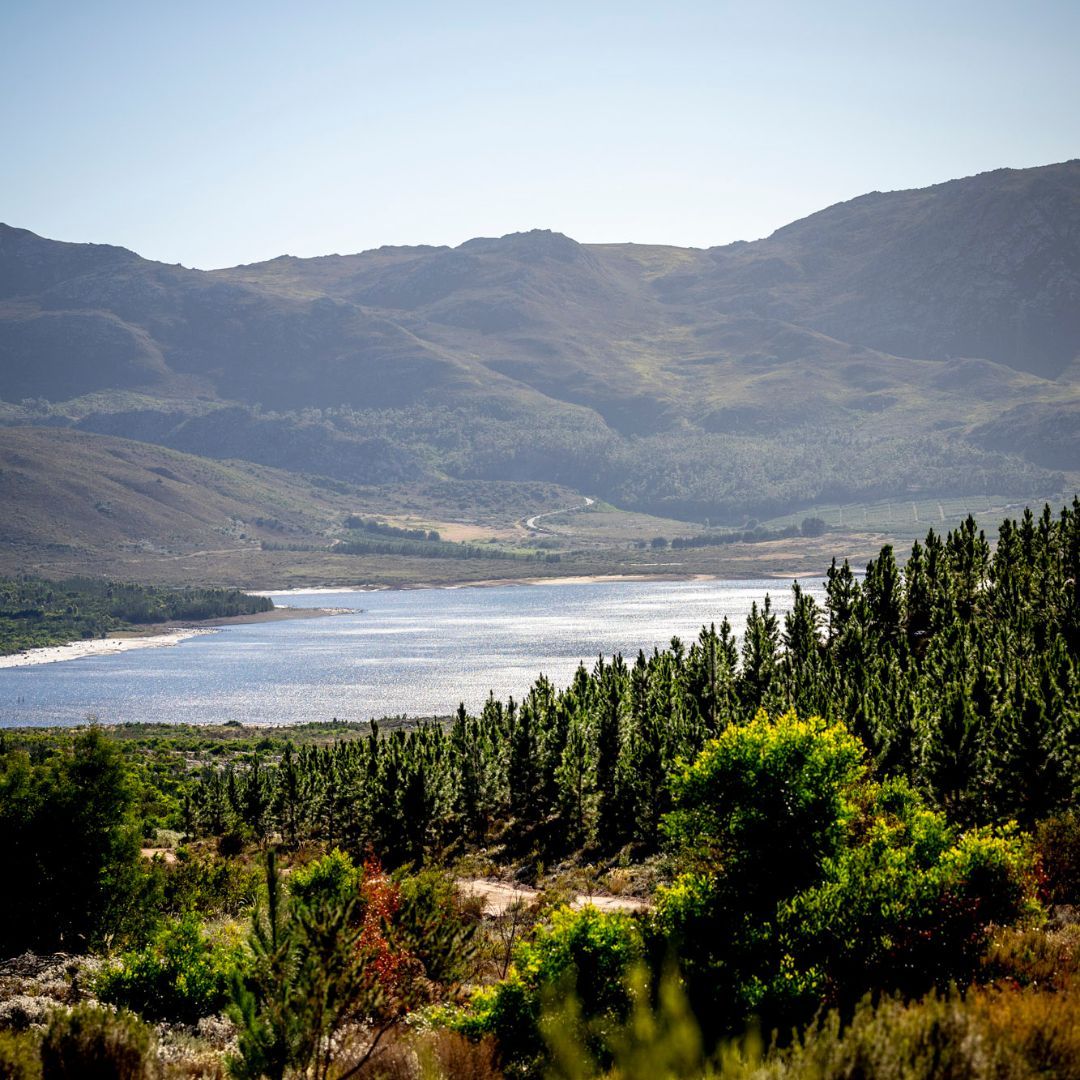 XTERRASA's tweet image. As you navigate the stunning trails of XTERRA Grabouw, don't forget to stop and appreciate the breathtaking views. 📸 🏞️
👇 ENTER NOW 👇
🎟️ bit.ly/xterragrabouw2…
🗓️ 22-23 February 2025
📍 Elgin Grabouw Sports Club
@XTERRAplanet
#WePlayWeProtect