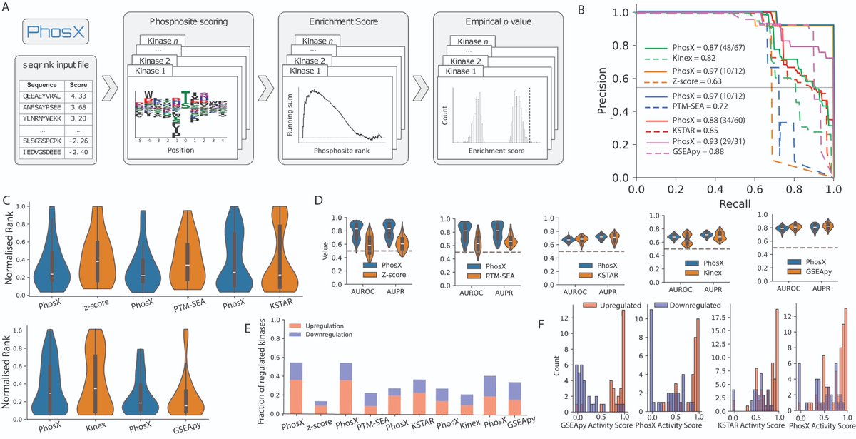 Evangelia Petsalaki (@e_petsalaki) on Twitter photo PhosX is out! doi.org/10.1093/bioinf… Leveraging the latest kinase specificity maps from the recent monumental papers from the <a href="/CantleyLab/">Cantley Lab</a> <a href="/mbyaffe/">Michael Yaffe</a> <a href="/benturklab/">Turk Lab</a> and a rank sum statistic we created PhosX so now you can predict activities for near all kinases in your phosphodata :) PhosX is out! doi.org/10.1093/bioinf… Leveraging the latest kinase specificity maps from the recent monumental papers from the <a href="/CantleyLab/">Cantley Lab</a> <a href="/mbyaffe/">Michael Yaffe</a> <a href="/benturklab/">Turk Lab</a> and a rank sum statistic we created PhosX so now you can predict activities for near all kinases in your phosphodata :)