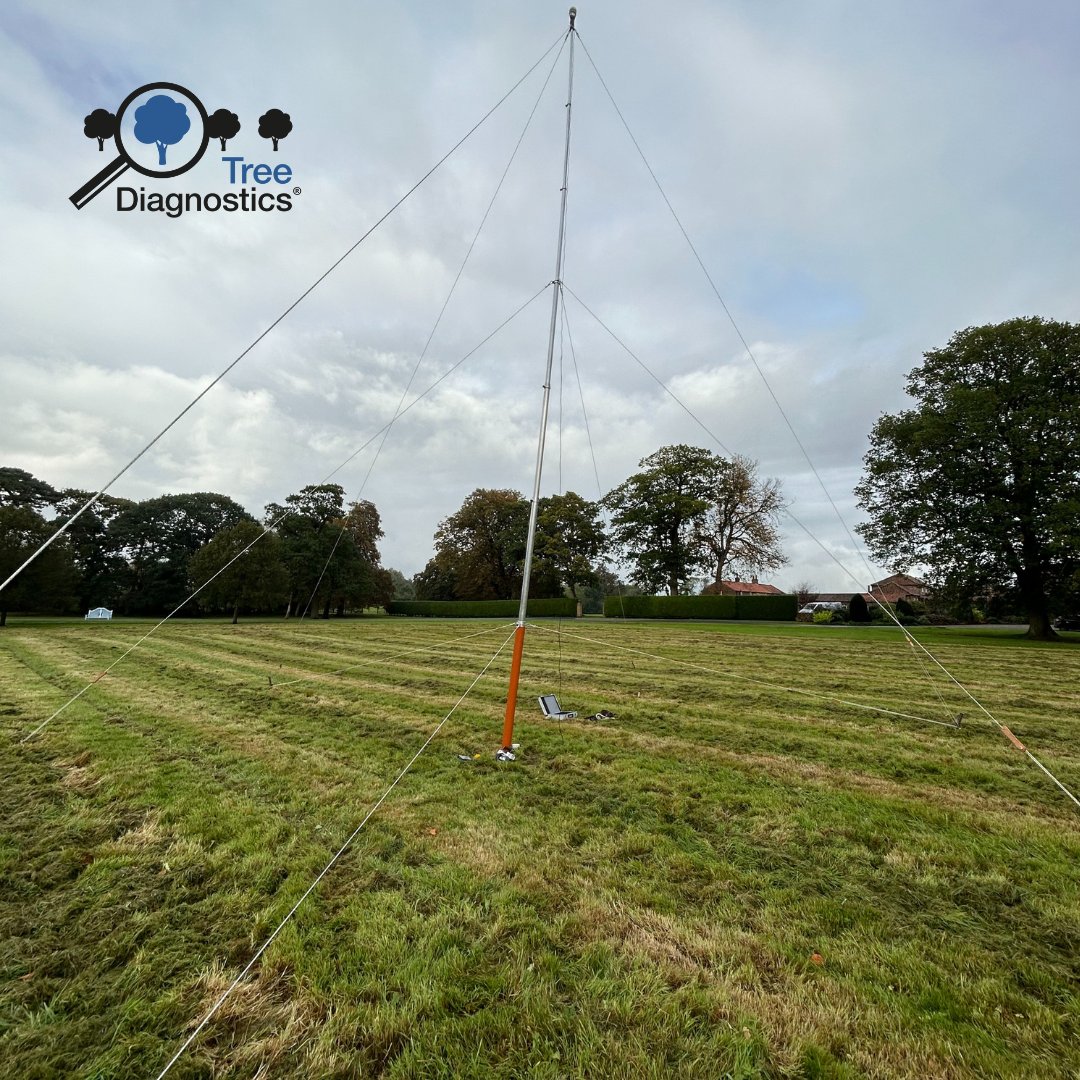 Setting up an anemometer pole to capture wind data during strong storm events.
This data will support our dynamic stability assessments, ensuring better insights for tree's safety and resilience.