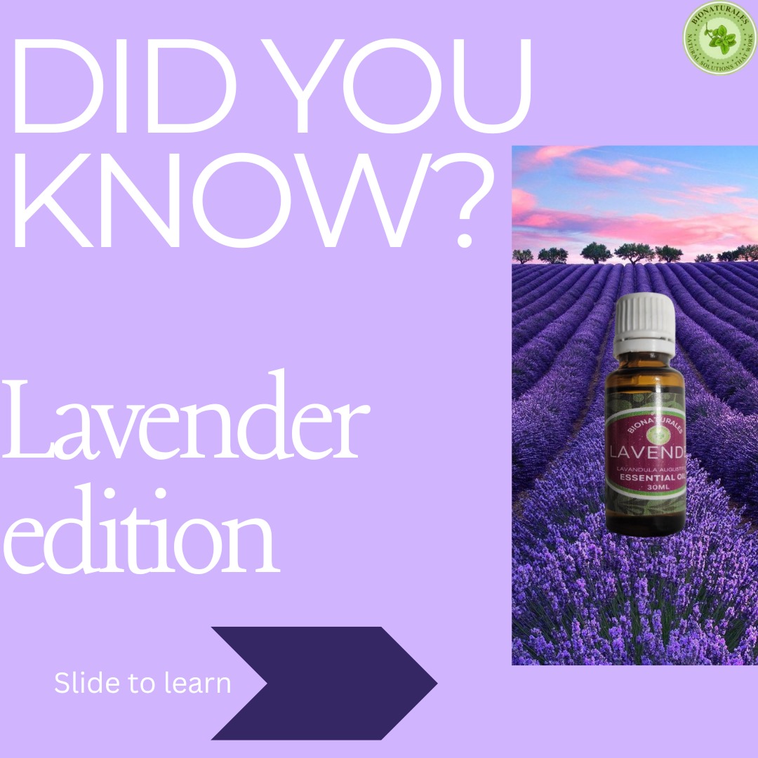 BNaturalesng's tweet photo. Did you know? Facts about lavender, that you would be surprised to know. 

Slide through each of them, and learn more. 

#lavender #facts #factsyoudidntknow #essentials #EssentialOils #essentialoilblends #DavidoAt32 #davido #UNCLEK  #LISA #thisisme #topmodel https://t.co/pJMys8f9EX