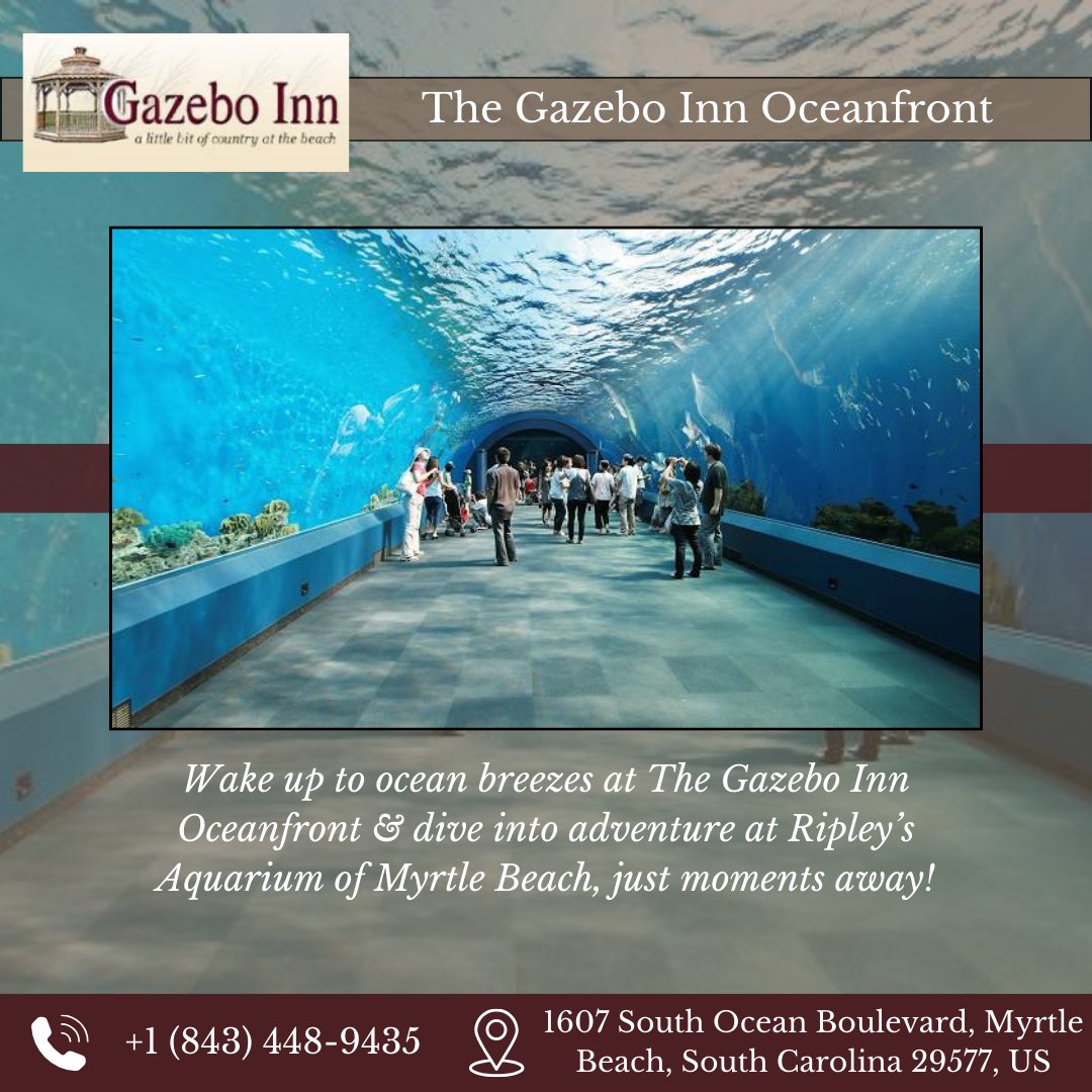 gazebo_inn's tweet photo. At The Gazebo Inn Oceanfront, wake up to the sound of the ocean, then make a splash at Ripley’s Aquarium of Myrtle Beach, just steps away! Book now: https://t.co/R7rLrikwvs +1 (843) 448-9435 #GazeboInnMyrtleBeach #RipleysAquarium #OceanfrontStay #BeachGetaway #ExploreMyrtleBeach https://t.co/riaqjTdYfT