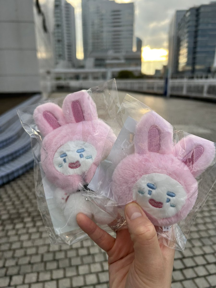 on_____tem5's tweet photo. か、かわいい！！想像以上のかわいさ！わくわくー！無事に晴れなのもさすがです☺️ https://t.co/2wNVJxFC8W
