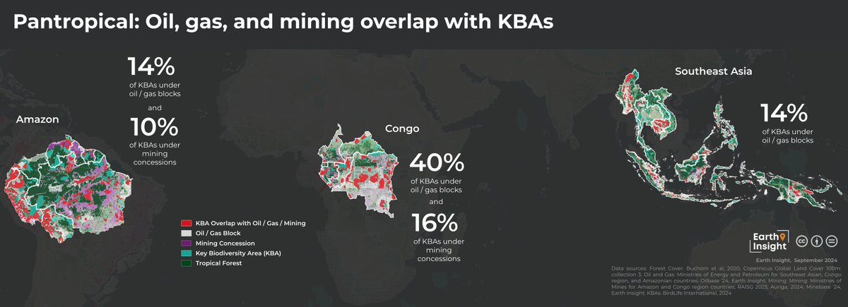 Earth Insight (@earth_insight) on Twitter photo 40% of KBAs in the Congo Basin are overlapped by oil & gas blocks. Protecting these areas means protecting our shared future. 🌱 #COP29 #NatureDay #CampaignForNature, @IUCN_WCPA, <a href="/earthisland/">Earth Island Institute</a>’s Wild Heritage, <a href="/IIFB_indigenous/">IIFB</a>, <a href="/OneEarth/">One Earth</a>
Read more here: earth-insight.org/report/closing… 40% of KBAs in the Congo Basin are overlapped by oil & gas blocks. Protecting these areas means protecting our shared future. 🌱 #COP29 #NatureDay #CampaignForNature, @IUCN_WCPA, <a href="/earthisland/">Earth Island Institute</a>’s Wild Heritage, <a href="/IIFB_indigenous/">IIFB</a>, <a href="/OneEarth/">One Earth</a>
Read more here: earth-insight.org/report/closing…
