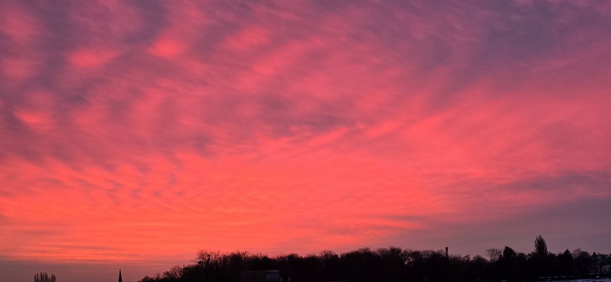 Bruno DE SAN NICOLAS 🏃‍♂️🚵‍♂️🏊‍♂️🏍👨‍💻👾🫡 tweet media