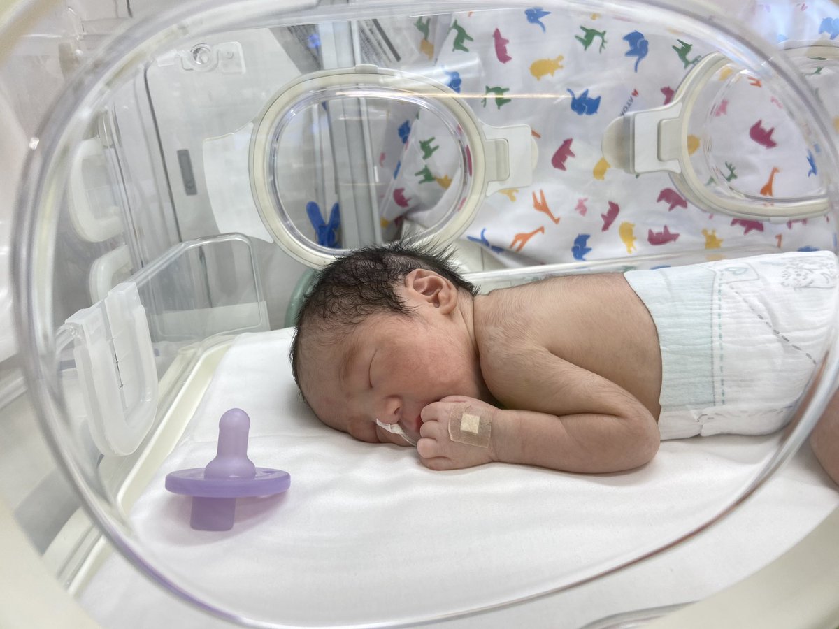 ぽんた@胆石から解放！スキーがしたい tweet media