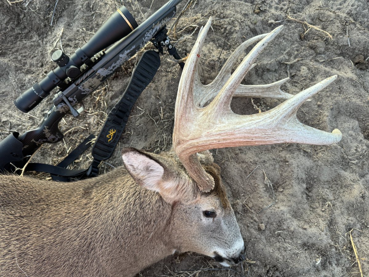Went to Nebraska for a mule deer but settled for a whitetail. Oh well. 😉
#deerhunting <a href="/BrowningArms/">Browning</a> <a href="/BrowningAmmo/">Browning Ammo</a> <a href="/BrowningCams/">BrowningTrailCameras</a>