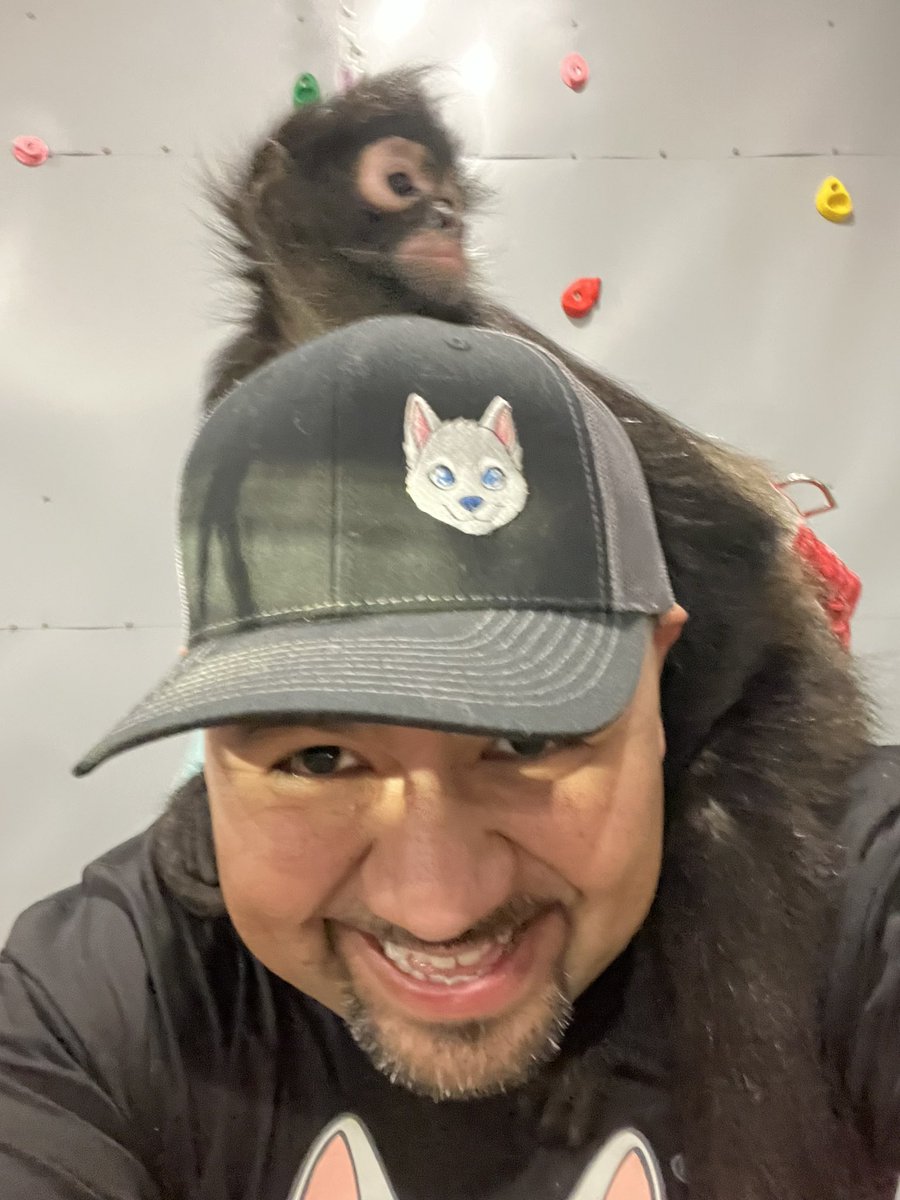 kenjitokenllc's tweet photo. $JORGIE N Friends #spidermonkeys #charity #love 

Show your love in supporting this great cause for our Primate community. 

Dwan is absolutely awesome and doing a great job in taking care of these beautiful babies ❤️❤️

Donate please guys to the below website 

https://t.co/mAwNw3YxLg

@DwanPerrin ❤️❤️❤️