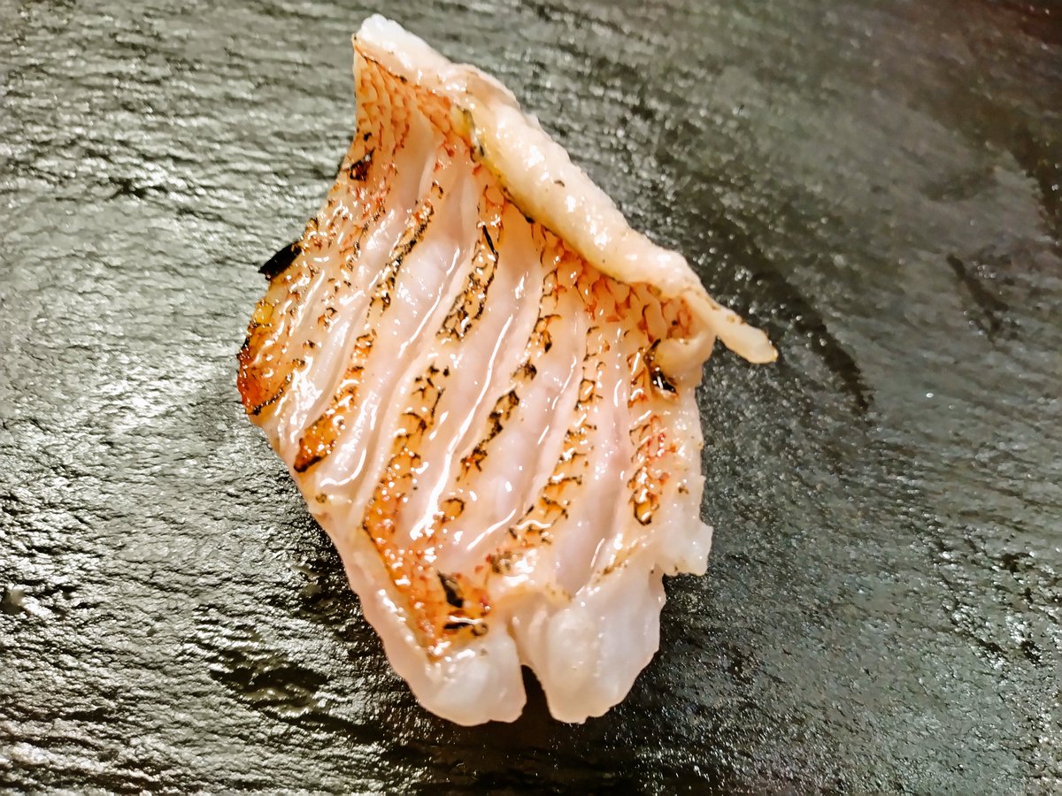 NewVegeta2020's tweet photo. キンキ（炙り）／6日目
ナメタカレイ／5日目

#津本式
#究極の血抜き
#熟成魚 https://t.co/q9kmQyT8AH