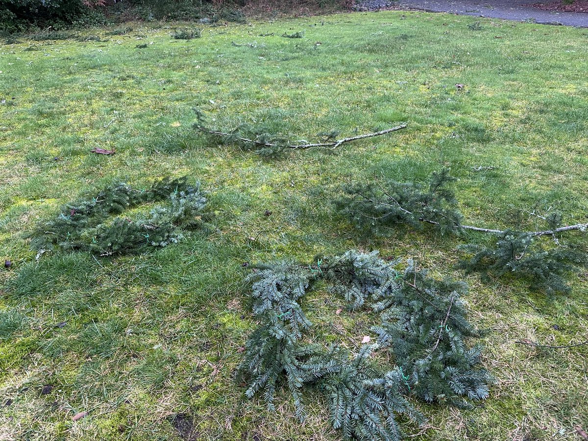 When life gives you branches, make wreaths. #bcstorm